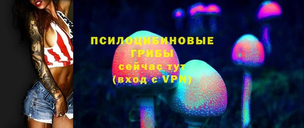 mix Вяземский