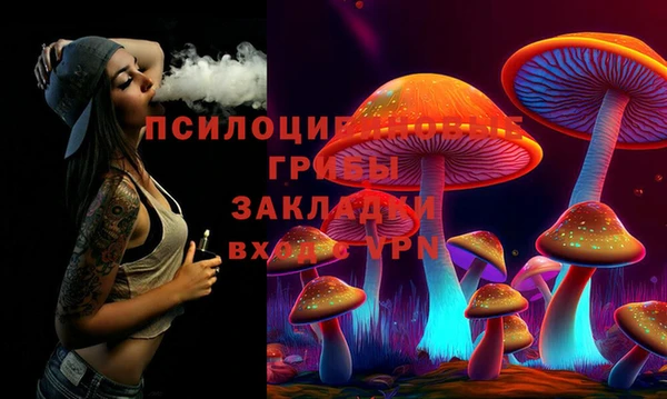 молекула духа Вязьма