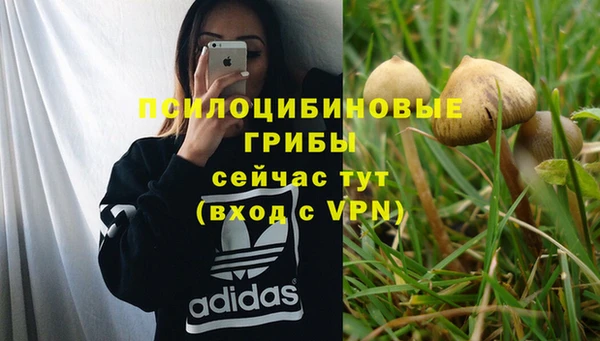 герыч Володарск