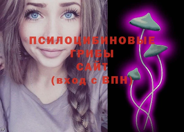 герыч Володарск