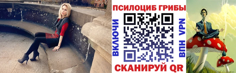 Галлюциногенные грибы Psilocybine cubensis  MEGA зеркало  Новочебоксарск  закладки 